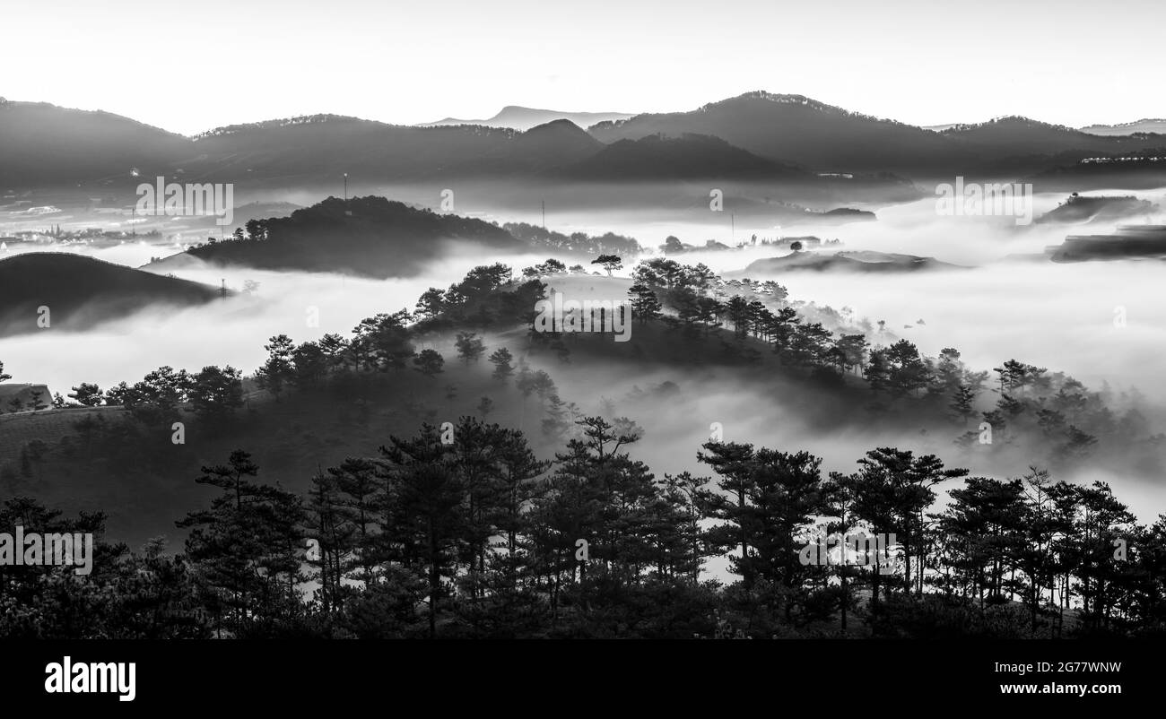 Sandales colorées sur fond d'herbe Banque D'Images