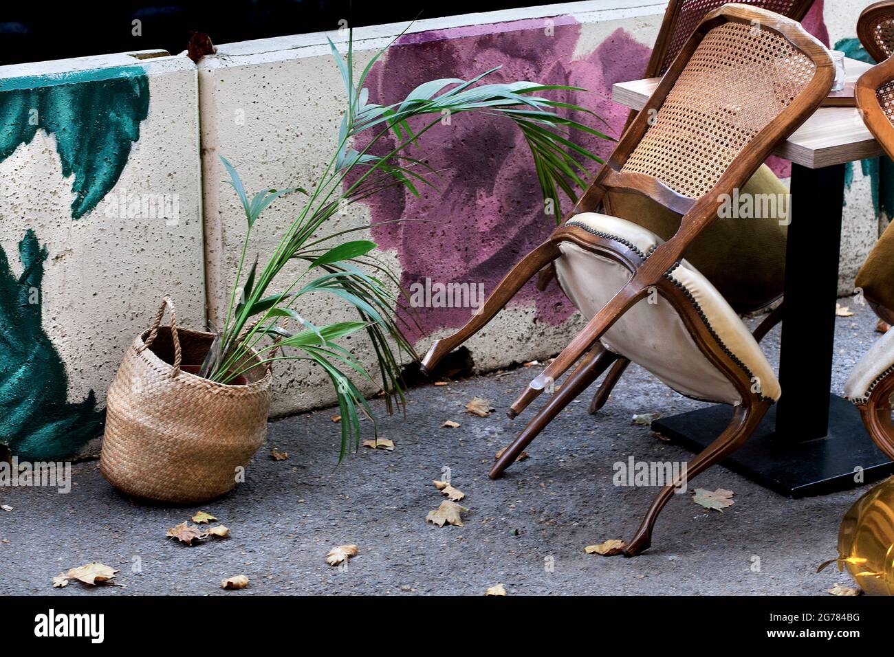 Usine décorative, nouveau coin salon extérieur, Barcelone, Espagne. Banque D'Images