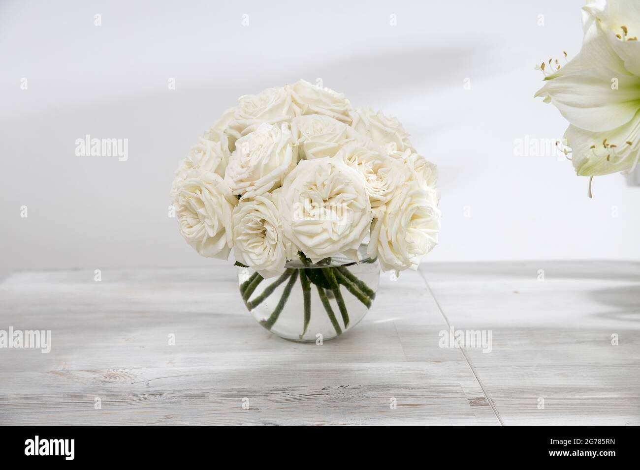 Roses blanches, nénuphar dans des vases ronds sur la table pour une occasion spéciale comme décoration de cuisine. Copier l'espace. Cadre carré Banque D'Images