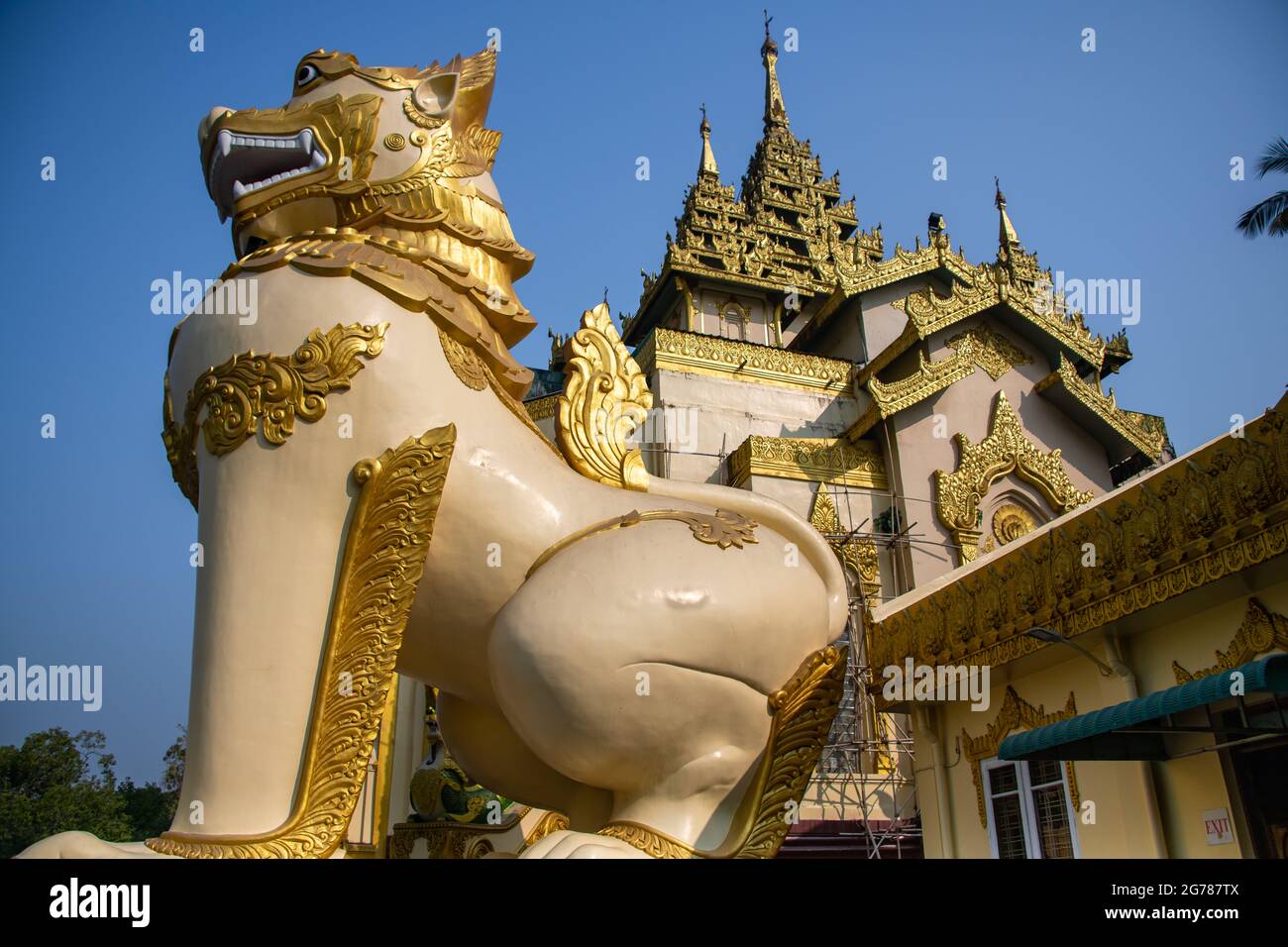 Le géant chinois (leogryph) garde l'entrée de la Pagode Shwedagon. Statue dorée ressemblant à une créature en forme de lion avec un ciel bleu clair Banque D'Images