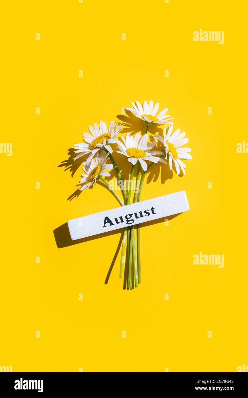 Calendrier mois d'été août et fleurs de camomille sur fond jaune. Vue de dessus Flat lay. Concept minimal Bonjour août. Modèle pour votre conception, gr Banque D'Images