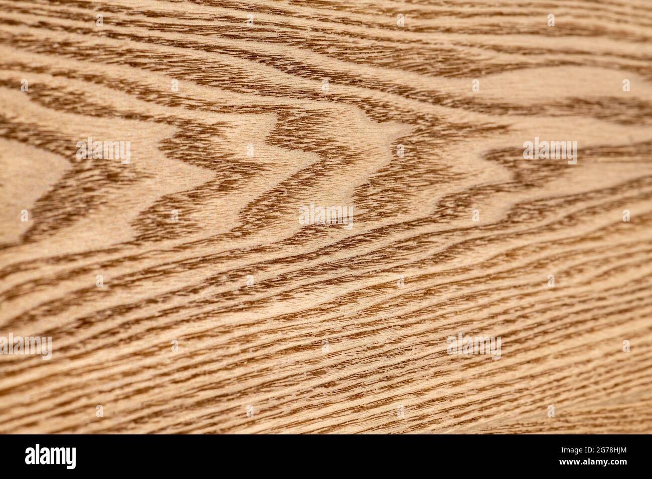 Texture gros plan peinte avec vernis nacre Bois de chêne pour le fond. Abat-jour brun clair avec ligne de grain et vague de motif naturel Banque D'Images