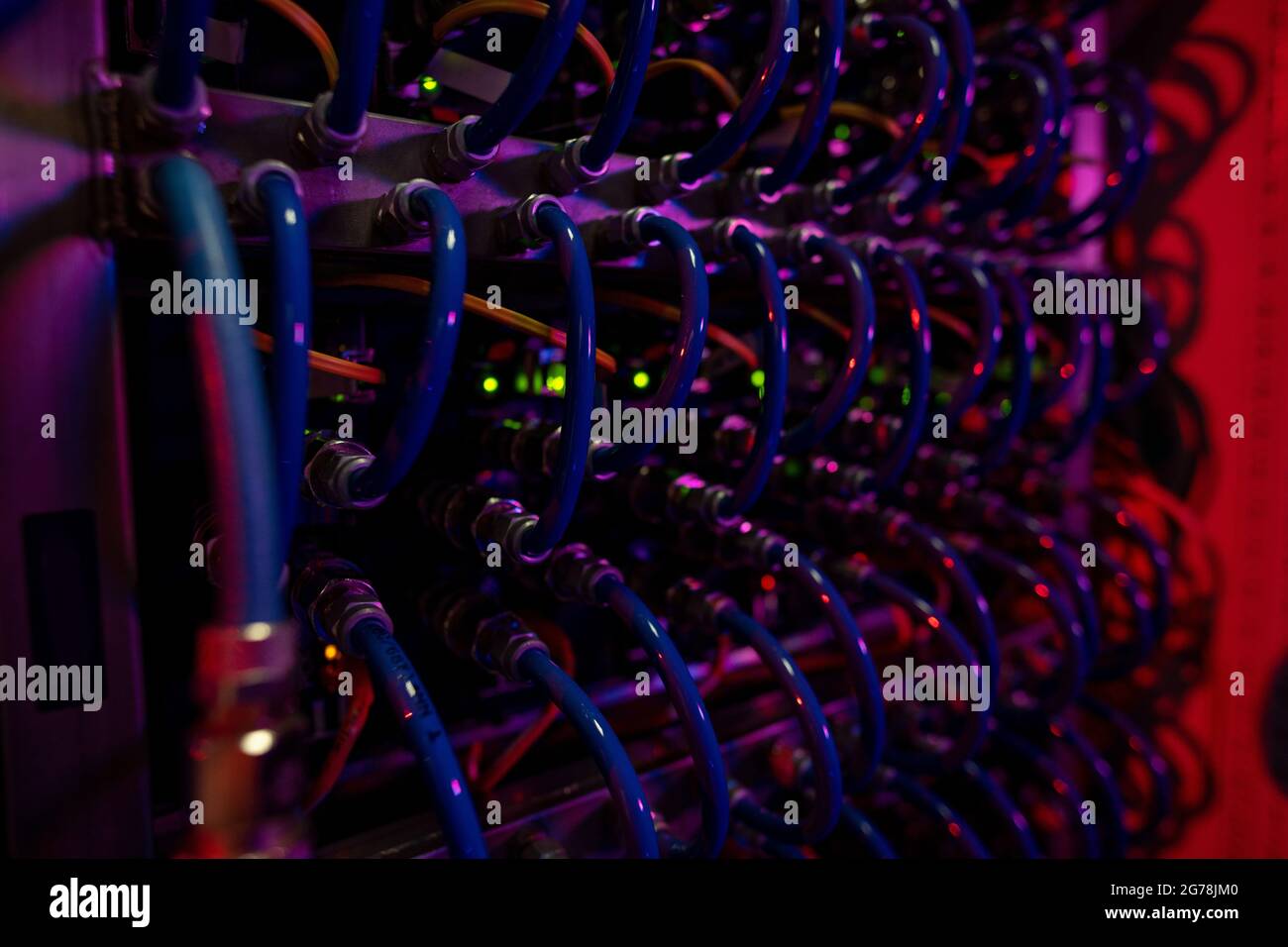 Gros plan des câbles optiques bleus du rack de serveurs connectés aux commutateurs Internet en rouge Banque D'Images