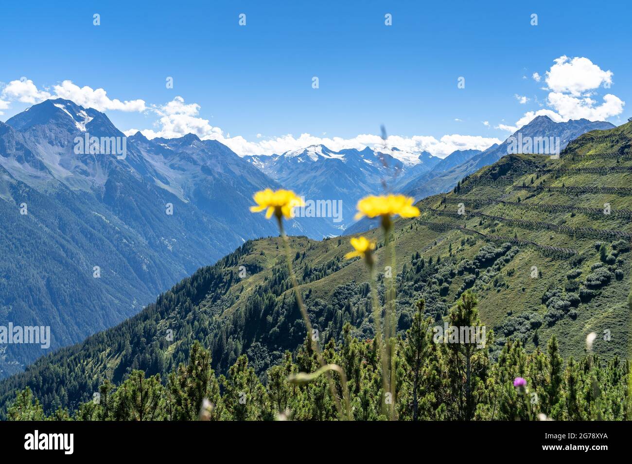 Europe, Autriche, Tyrol, Alpes de Stubai, vue sur la vallée de Stubai avec Habicht et le glacier de Stubai Banque D'Images