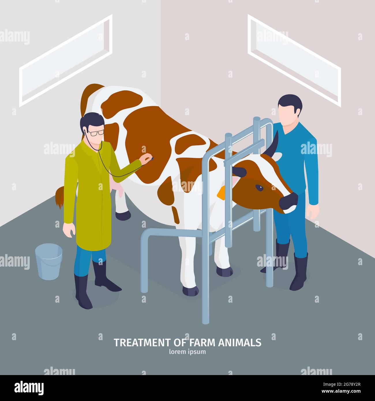 Composition vétérinaire isométrique avec texte modifiable traitement des animaux de ferme avec le médecin portant le stéthoscope et illustration de vecteur de vache Illustration de Vecteur