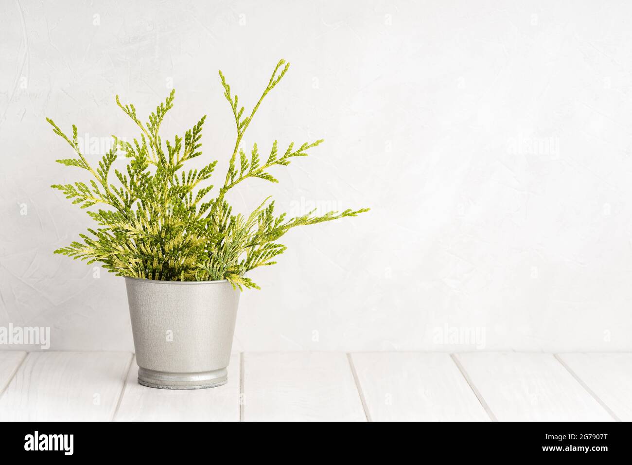 Table blanche en bois vide avec pot de plante vert et fond de texture de mur en béton blanc. Copier l'espace, afficher le montage pour le produit Banque D'Images Table blanche en bois vide avec pot de plante vert et fond de texture de mur en béton blanc. Copier l'espace, afficher le montage pour le produit Banque D'Images