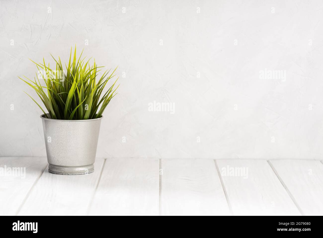 Table blanche en bois vide avec pot de plante vert et fond de texture de mur en béton blanc. Copier l'espace, afficher le montage pour le produit Banque D'Images Table blanche en bois vide avec pot de plante vert et fond de texture de mur en béton blanc. Copier l'espace, afficher le montage pour le produit Banque D'Images