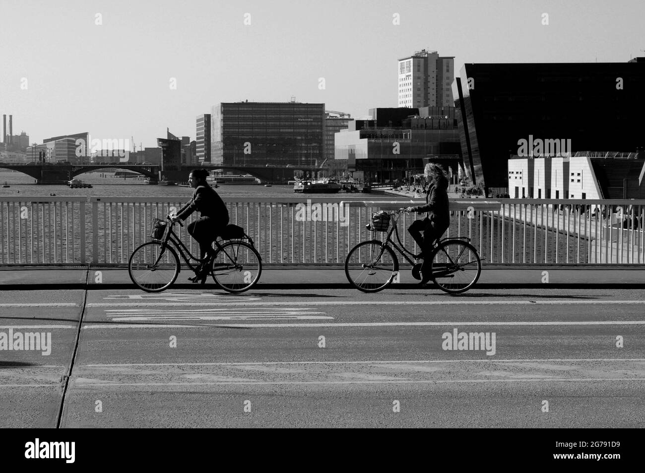 Copenhague /Danemark./ 30..Mars 2019/ des femelles qui traversent le pont Knipeles de l'île de Copenhague à l'île d'Amager, dans la capitale danoise. (Photo..Francis Joseph Dean / Deanimages. Banque D'Images