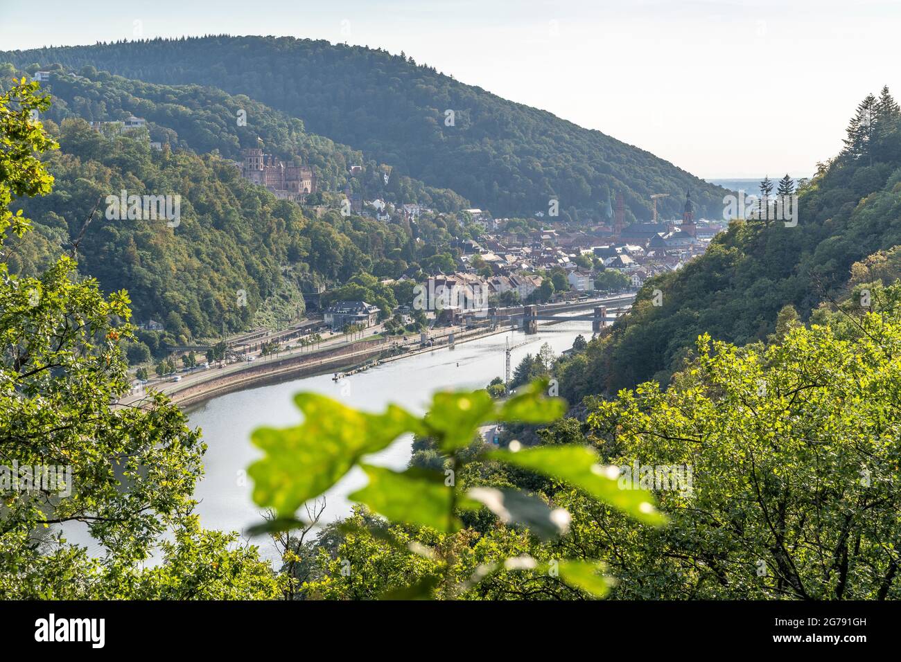 Europe, Allemagne, Bade-Wurtemberg, Heidelberg, vue du point de vue de Schlossblick sur le Neckar et la vieille ville de Heidelberg Banque D'Images