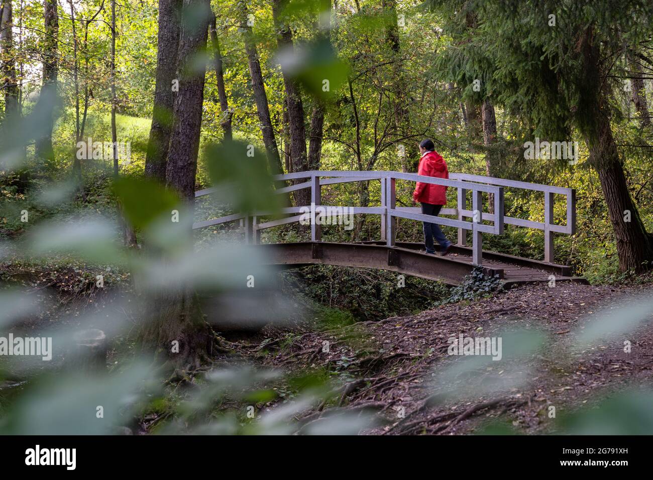 Europe, Allemagne, Bade-Wurtemberg, région de Schönbuch, Waldenbuch, un randonneur traverse un petit pont dans la forêt Banque D'Images