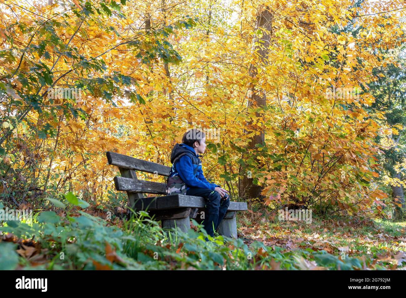 Europe, Allemagne, Bade-Wurtemberg, Stuttgart, garçon assis sur un banc dans la forêt d'automne colorée Banque D'Images