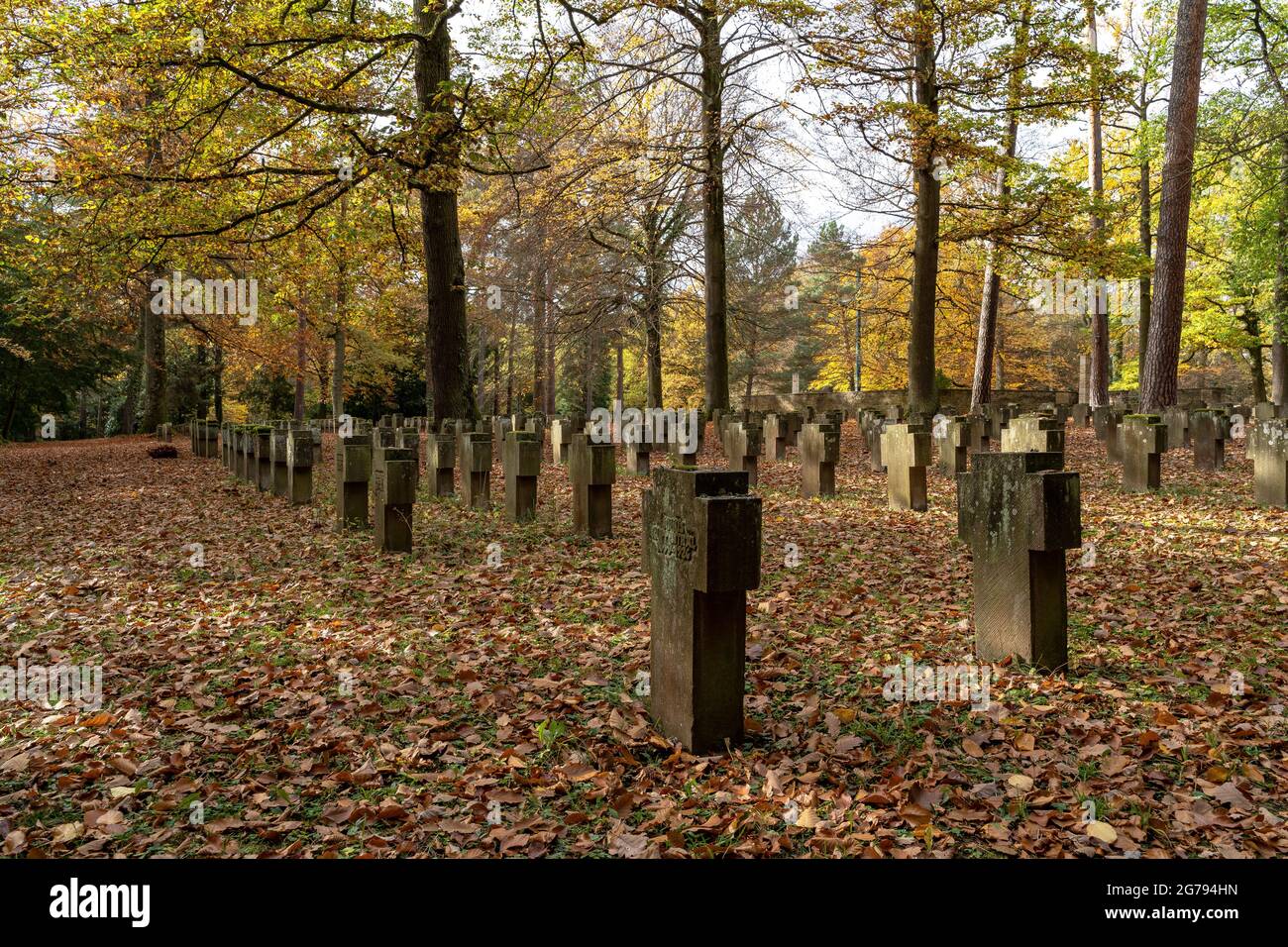 Europe, Allemagne, Sud de l'Allemagne, Bade-Wurtemberg, Stuttgart, Les soldats se sépulent dans le cimetière forestier de Degerloch Banque D'Images