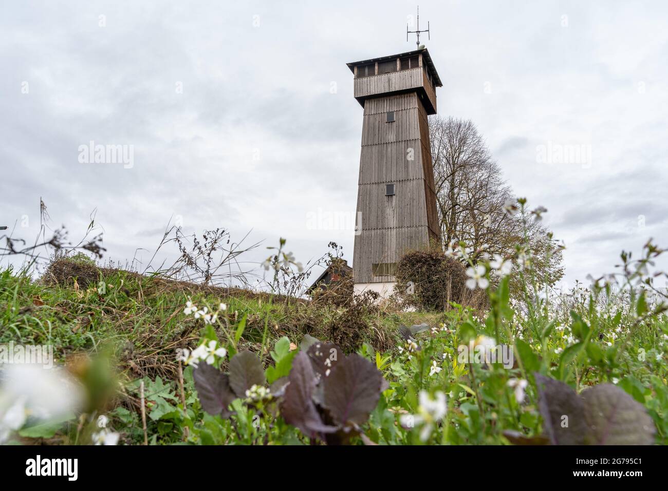 Europe, Allemagne, Bade-Wurtemberg, Forêt swabienne, Spiegelberg, Juxkopf, Juxkopfturm, un jour d'automne gris Banque D'Images