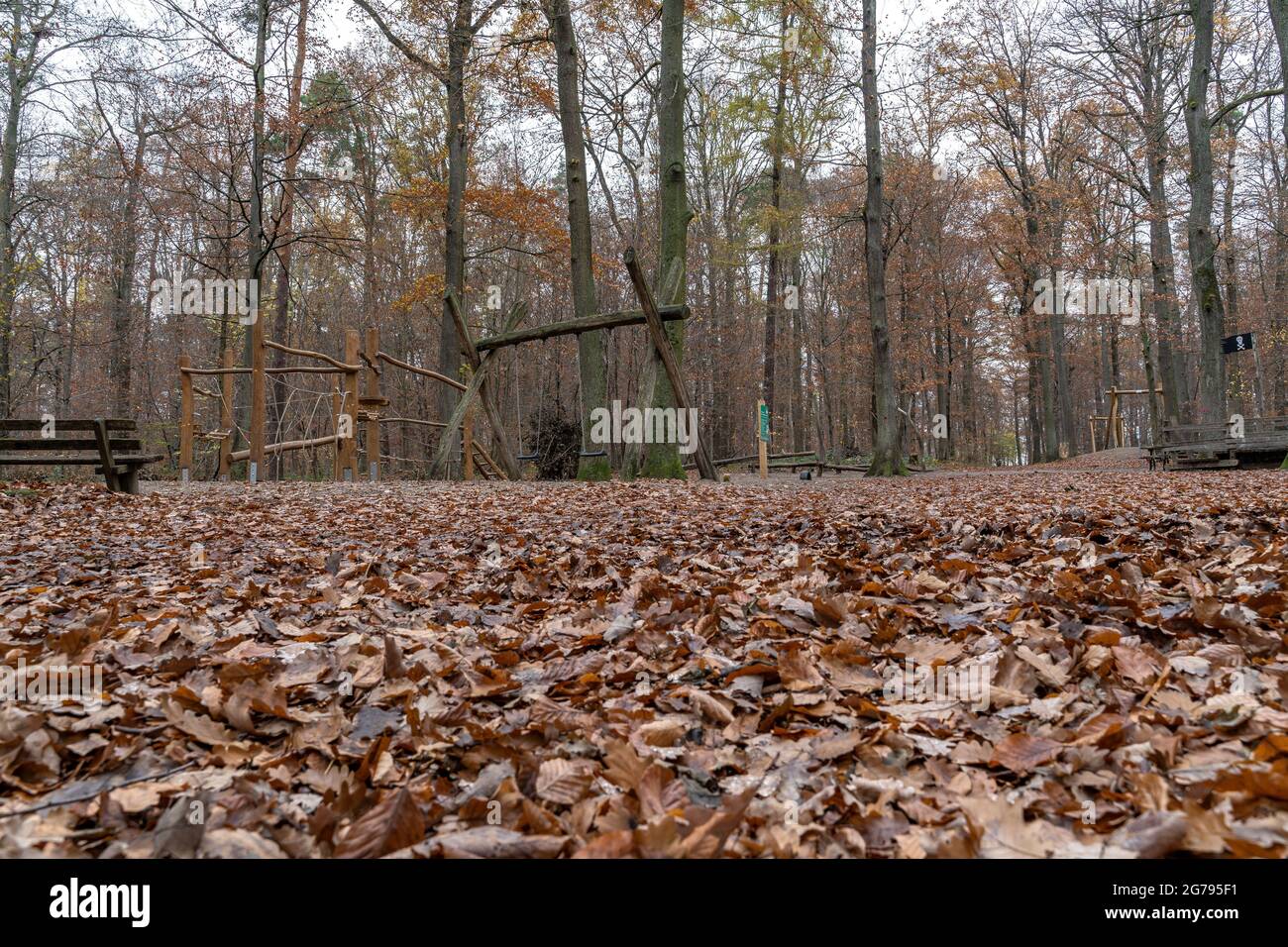 Europe, Allemagne, Bade-Wurtemberg, Stuttgart, Wangener Höhe, Aire de jeux en forêt sur le Wangener Höhe Banque D'Images