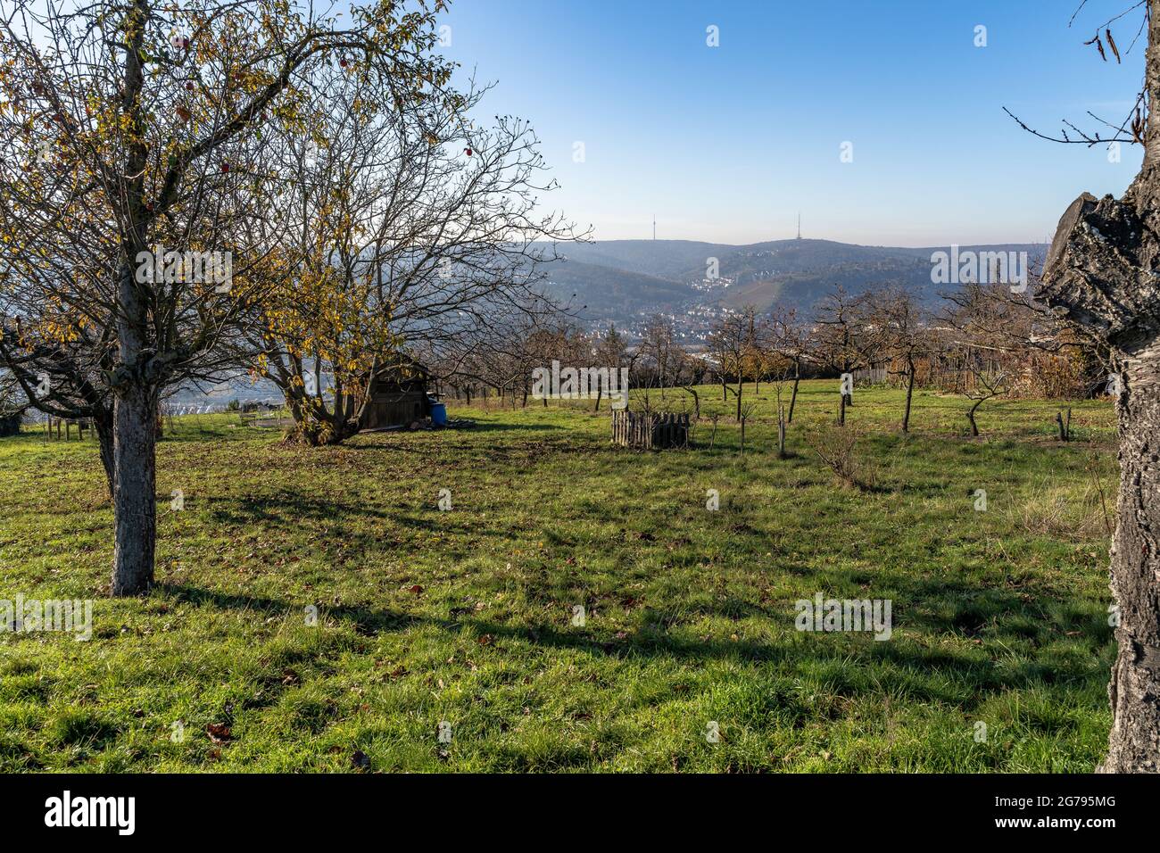 Europe, Allemagne, Bade-Wurtemberg, Esslingen, vue sur un pré de verger dans la vallée du Neckar et sur le Wangener Höhe Banque D'Images