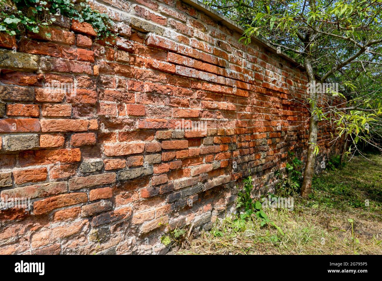 Vieux mur de briques. Banque D'Images
