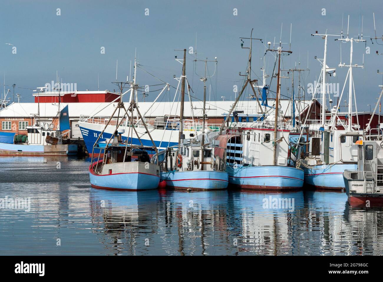 Danemark, île de la Zélande, Gribskov-Gilleleje, le plus grand port de pêche de l'île de la Zélande près de Gilleleje, station balnéaire et village de pêche dans le nord de la plus grande île de la mer Baltique. Banque D'Images