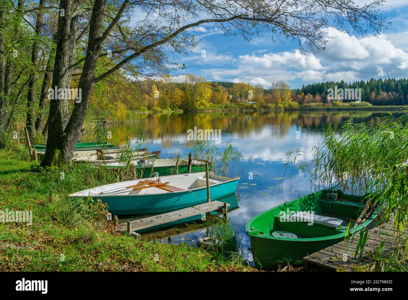 Allemagne, Bade-Wurtemberg, Illmensee, Ruschweiler, bateaux de pêche sur le lac Ruschweiler. Le lac est situé dans la zone FFH 8122-342 'Pfrunger Ried und seen BEI Illmensee'. Dans la réserve naturelle se trouve le plateau du lac de l'âge de glace avec l'Illmensee, le Ruschweiler See et le Volzer See. Banque D'Images