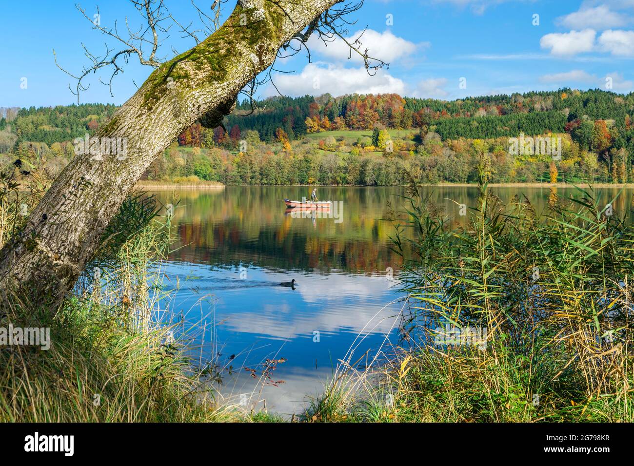 Allemagne, Bade-Wurtemberg, Illmensee, bateau de pêche, pêcheurs sur l'Illmensee. L'Illmensee est situé dans la zone FFH 8122-342 'Pfrunger Ried und seen BEI Illmensee'. Dans la réserve naturelle se trouve le plateau du lac de l'âge de glace avec l'Illmensee, le Ruschweiler See et le Volzer See. Banque D'Images