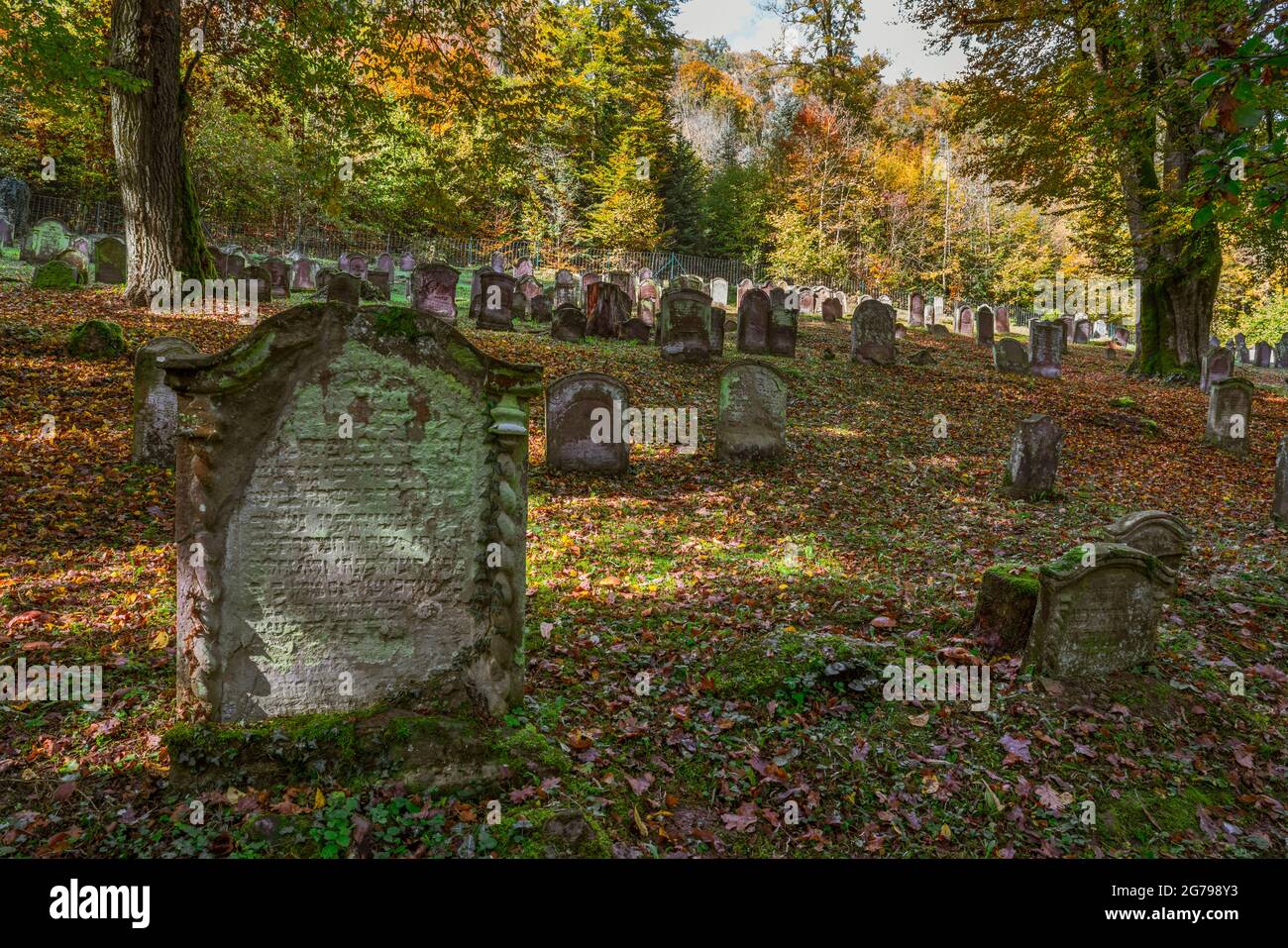Le cimetière juif de Mühringen, dans le quartier de Mühringen à Horber, dans le quartier de Freudenstadt à Baden-Württemberg, est un monument culturel. Le cimetière est situé dans le couloir de Totenhau et a probablement été aménagé au milieu du XVIe siècle. Banque D'Images