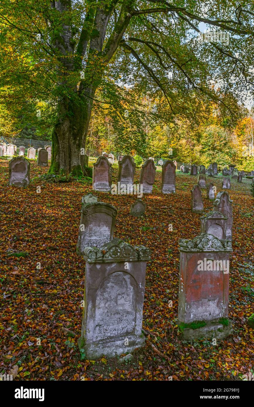 Le cimetière juif de Mühringen, dans le quartier de Mühringen à Horber, dans le quartier de Freudenstadt à Baden-Württemberg, est un monument culturel. Le cimetière est situé dans le couloir de Totenhau et a probablement été aménagé au milieu du XVIe siècle. Banque D'Images