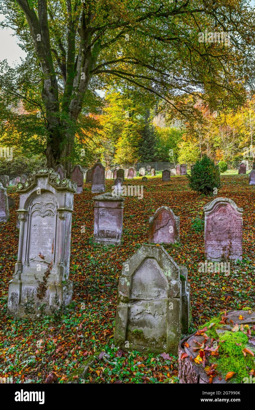 Le cimetière juif de Mühringen, dans le quartier de Mühringen à Horber, dans le quartier de Freudenstadt à Baden-Württemberg, est un monument culturel. Le cimetière est situé dans le couloir de Totenhau et a probablement été aménagé au milieu du XVIe siècle. Banque D'Images