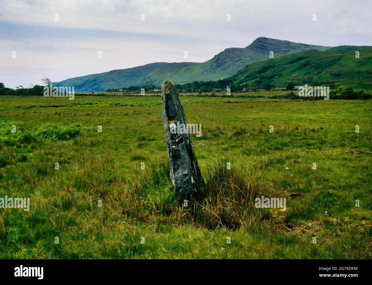 Vue sud-ouest de la pierre sur pied quelque 365m nord-ouest du cercle de pierre de Lochbuie, Mull, Argyll et Bute, Écosse, Royaume-Uni. S'inclinant vers le se, c 2m de haut. Banque D'Images