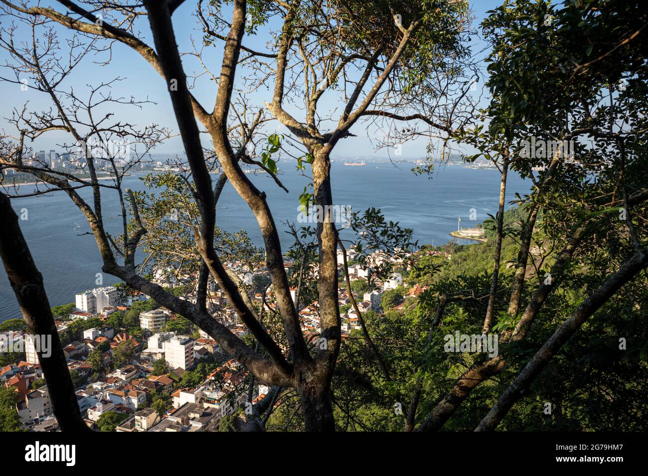 A pied de Praia Vermelha (plage Rouge), des eaux océaniques et des montagnes environnantes, à travers les arbres du sentier de Sugarloaf Mountain, situé à Rio de Janeiro, Brésil. Banque D'Images