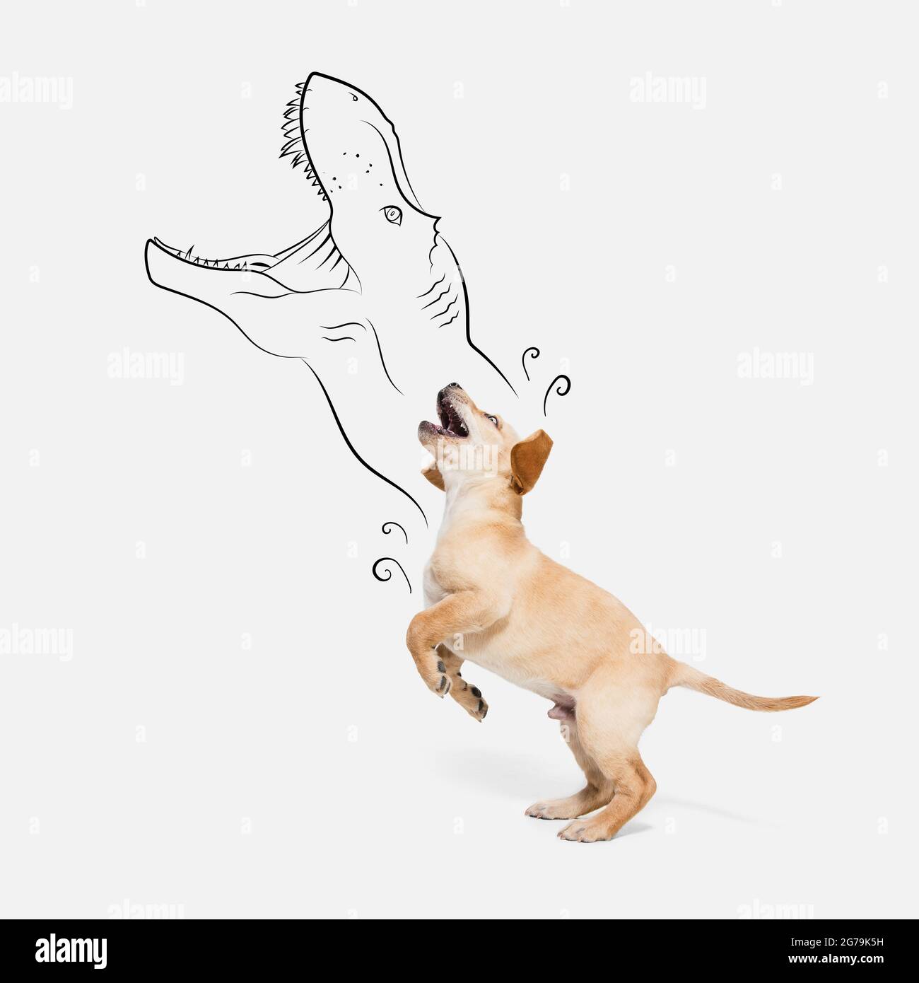 Œuvres d'art contemporaines. Un mignon petit chien, Labrador chiot sautant isolé sur fond blanc studio. Banque D'Images
