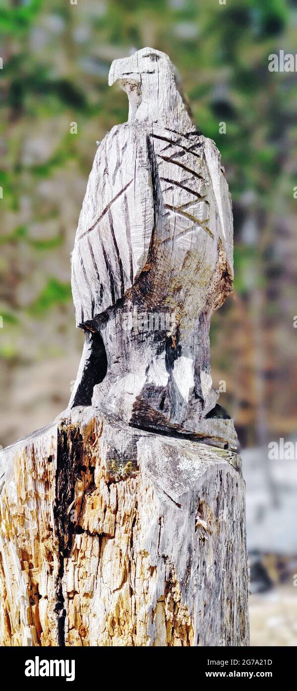 Figure d'un aigle sculpté dans une souche d'arbre Banque D'Images