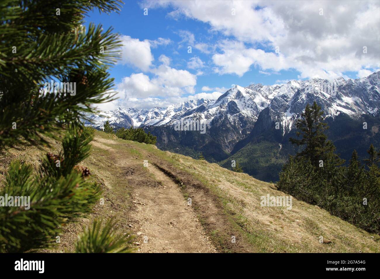 Randonnée à Stepbergalm 1583m, près de Garmisch, Alpes d'Ammergau, haute-Bavière, Bavière,Allemagne, printemps, vue sur les montagnes de Wetterstein, Alpspitze au centre de l'image, atmosphère, pins de montagne au premier plan Banque D'Images