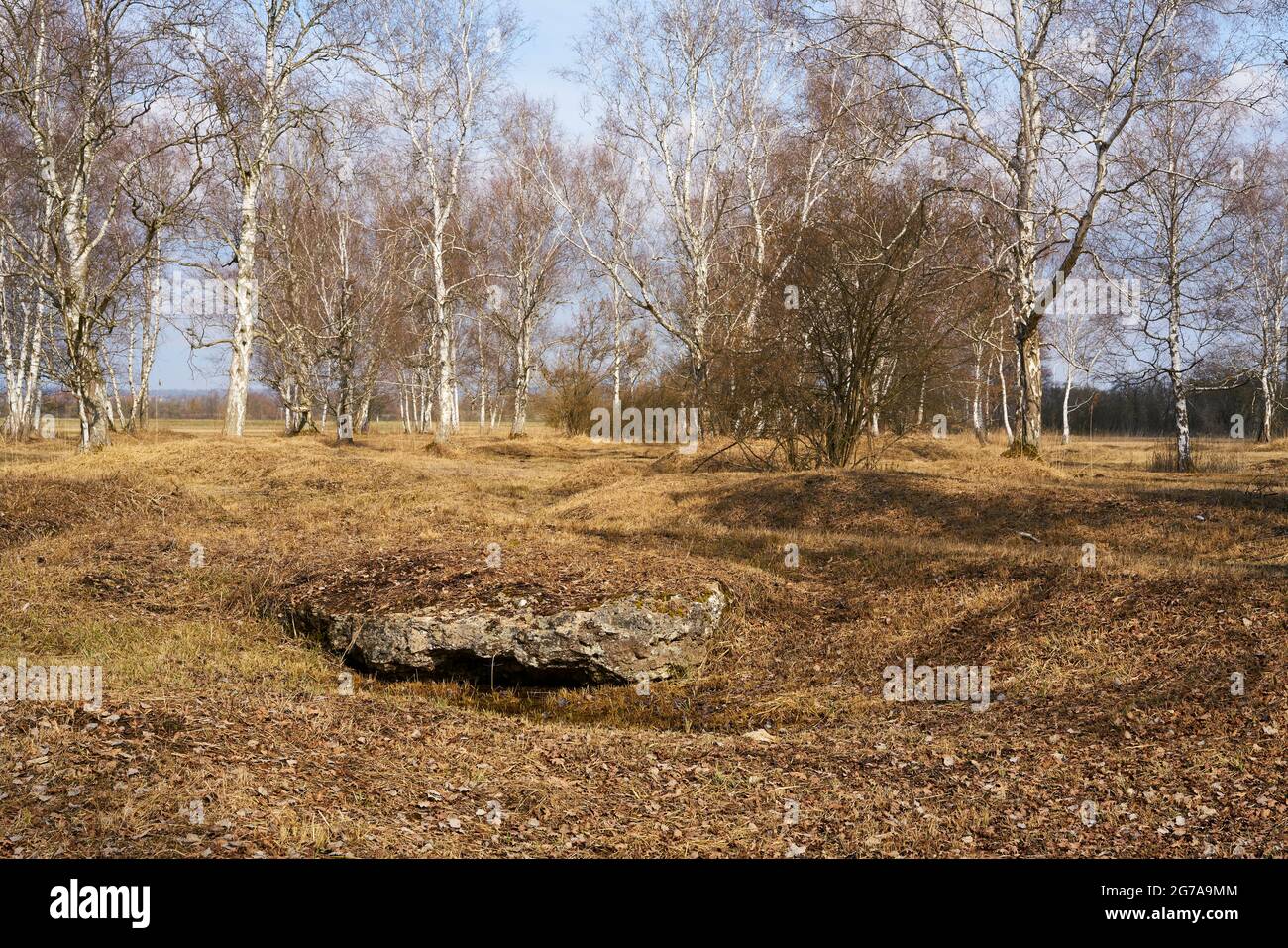 Cavités naturelles de Grettstädter Riedwiesen, district de Schweinfurt, Basse-Franconie, Bavière, Allemagne Banque D'Images