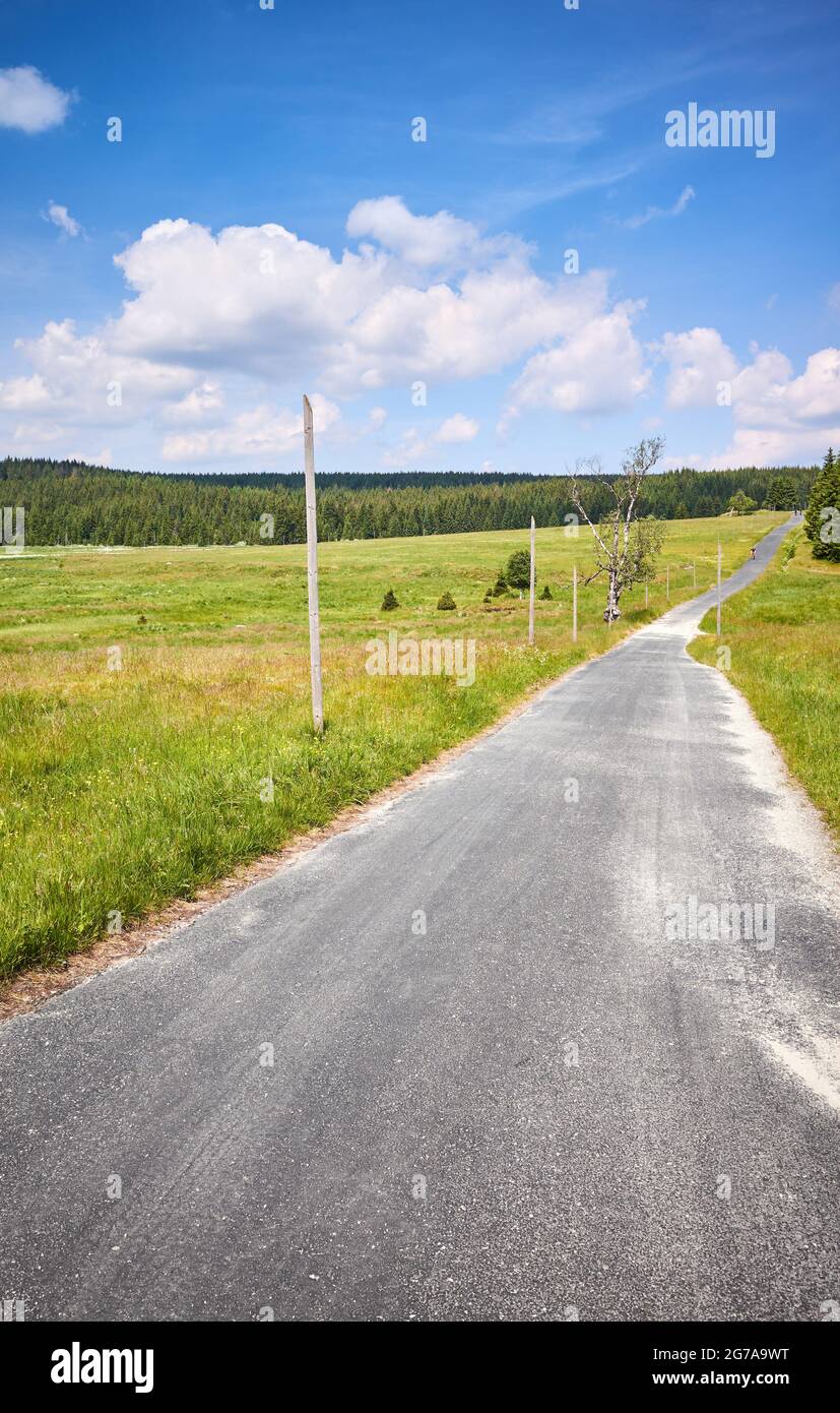 Piste cyclable en asphalte dans les montagnes d'Izera par une journée ensoleillée d'été, en Pologne. Banque D'Images