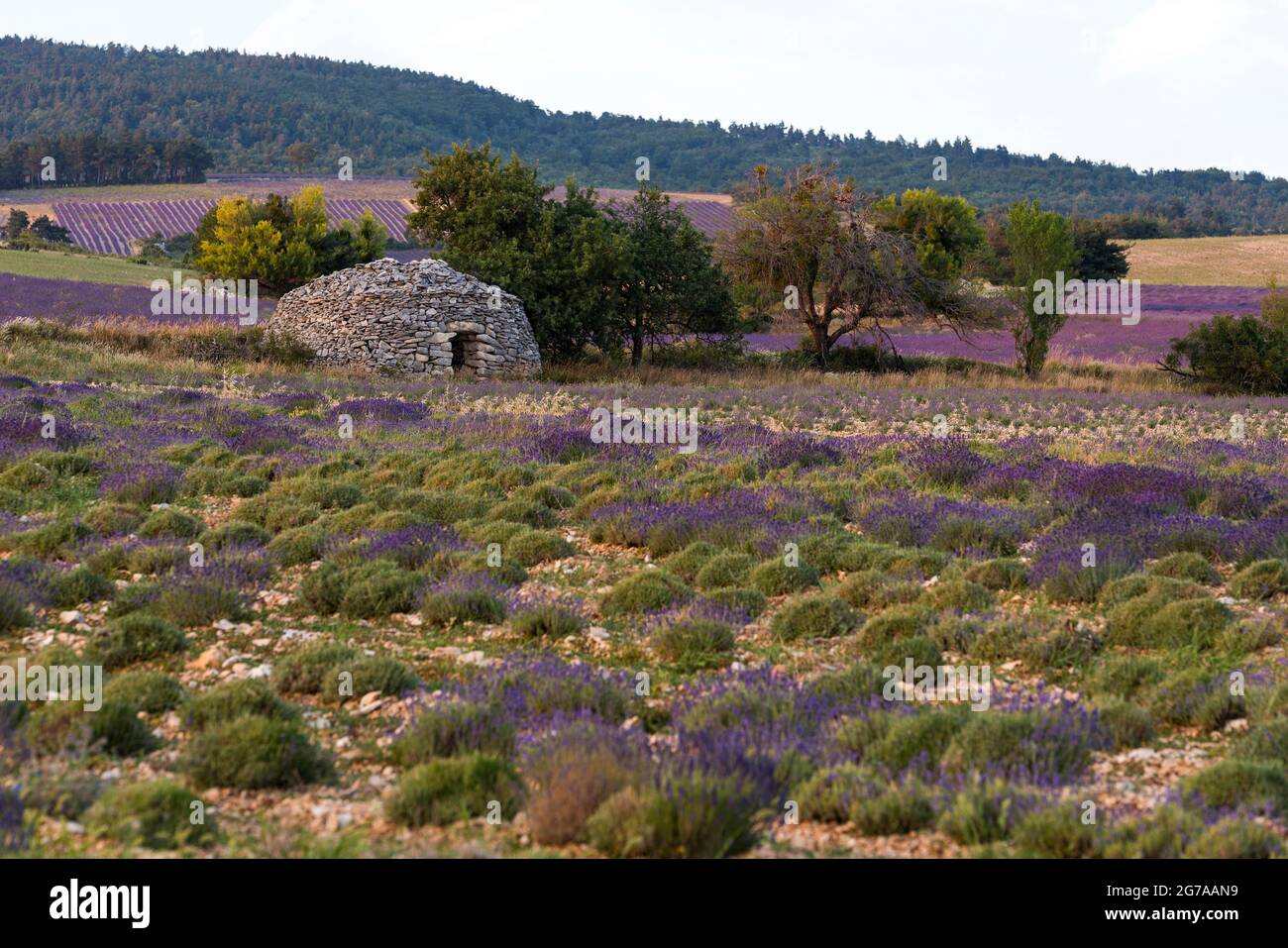 Ferrassieres Banque de photographies et d'images à haute résolution - Alamy