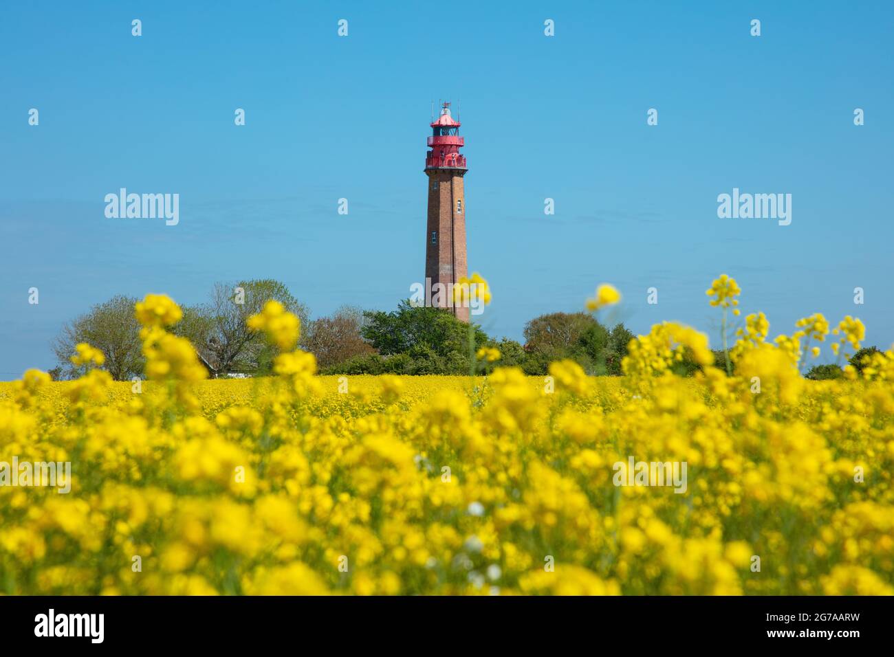 Schleswig-Holstein, île de Fehmarn dans la mer Baltique. Flügge, vue sur les champs au phare historique de Flügge au printemps. Banque D'Images