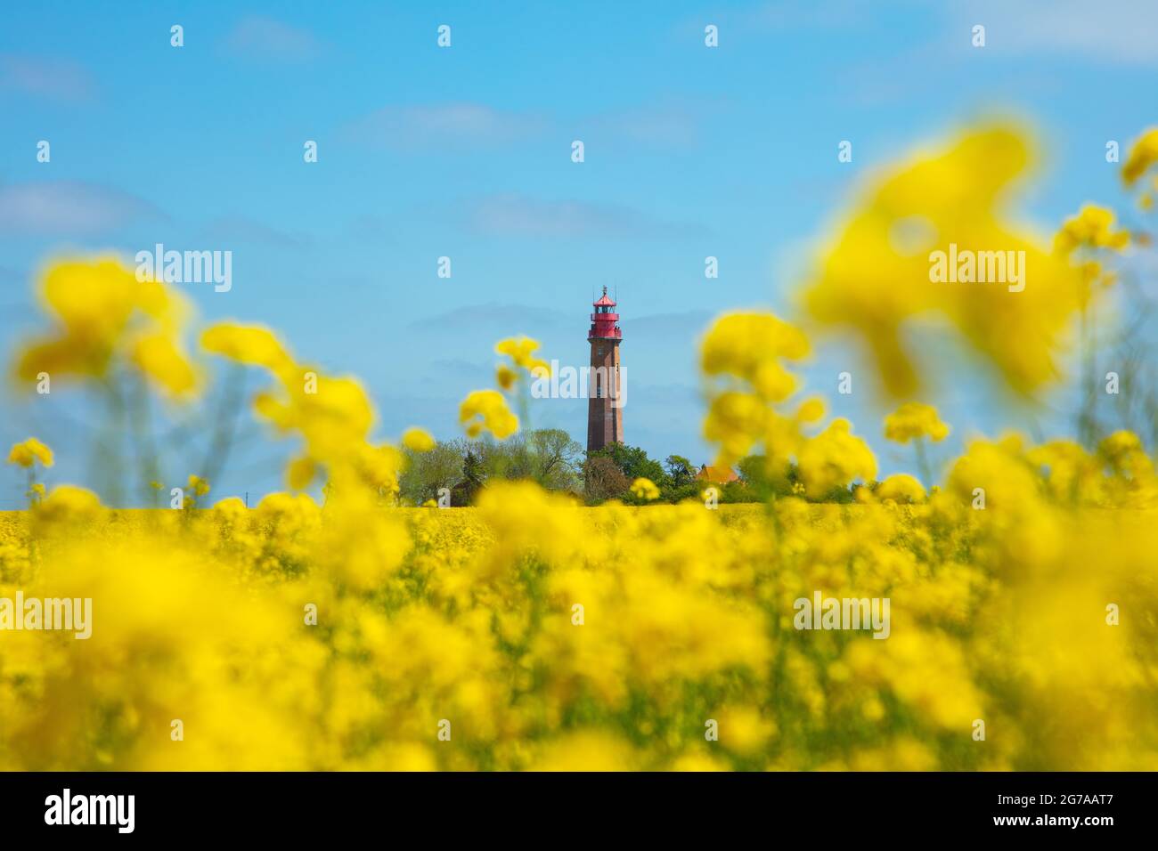Schleswig-Holstein, île de Fehmarn dans la mer Baltique. Flügge, vue sur les champs au phare historique de Flügge au printemps. Banque D'Images