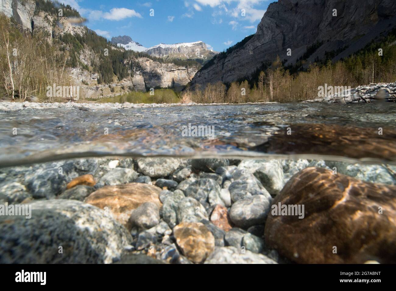 Les prés et les mondes de l'eau dans le Gasterental, Suisse Banque D'Images
