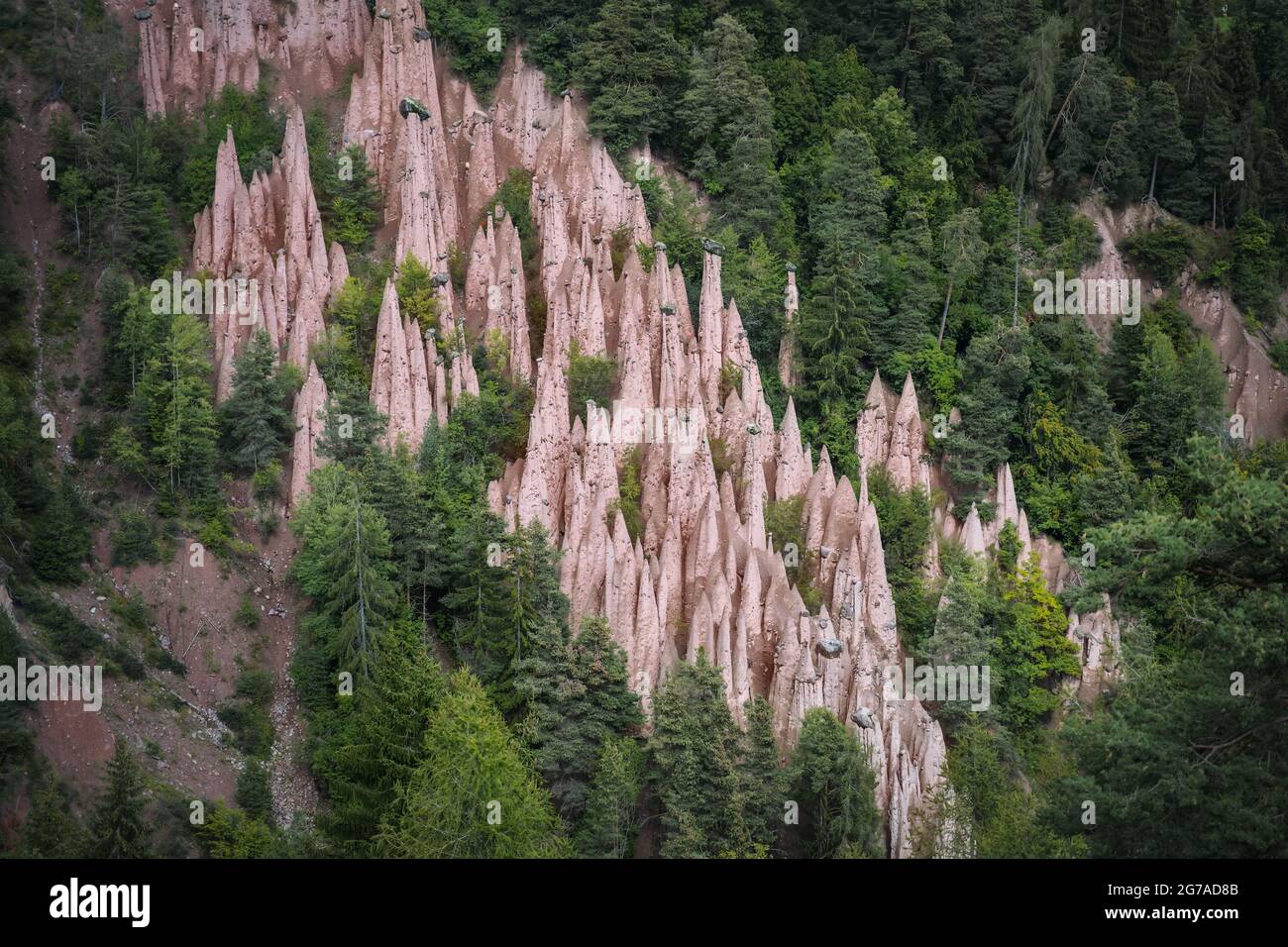 Phénomen naturel des pyramides de la terre à Renon, Tyrol du Sud, Italie Banque D'Images