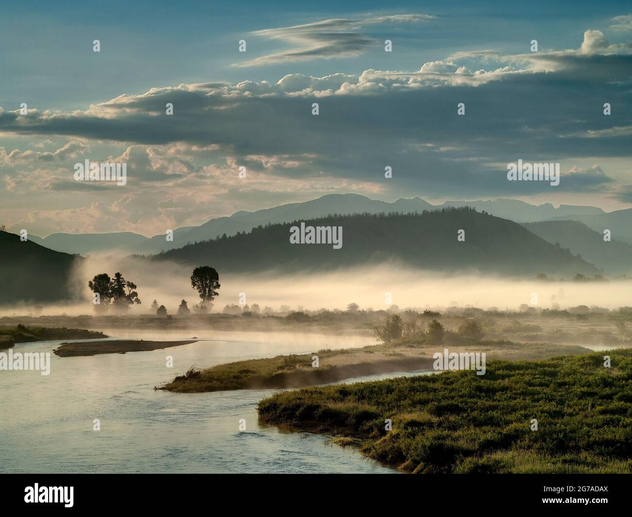 Brume matinale, rivière Snake, Buffalo Valley, près de Moran, Wyoming, États-Unis Banque D'Images