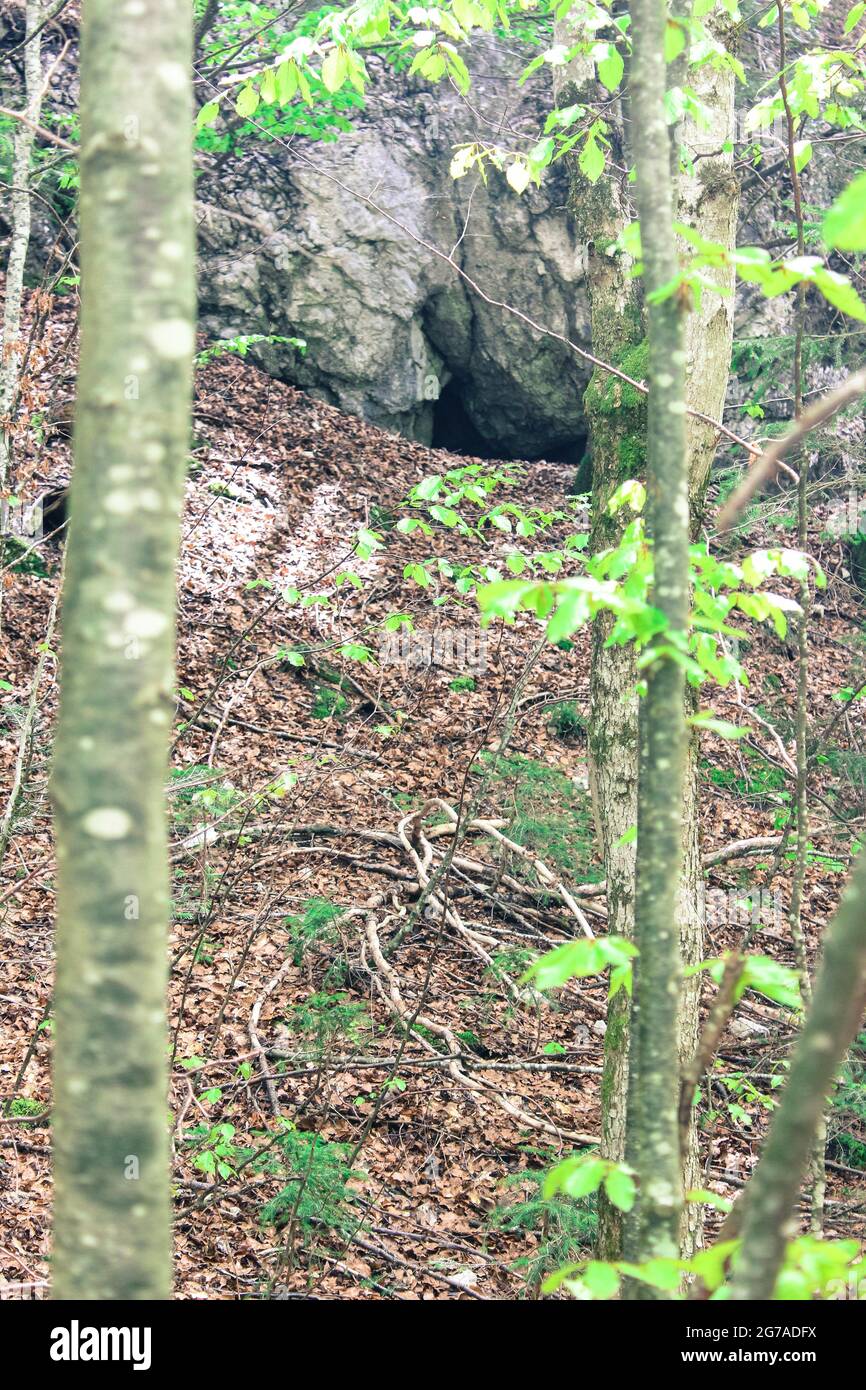 Randonnée en forêt, grotte cachée dans la roche Banque D'Images