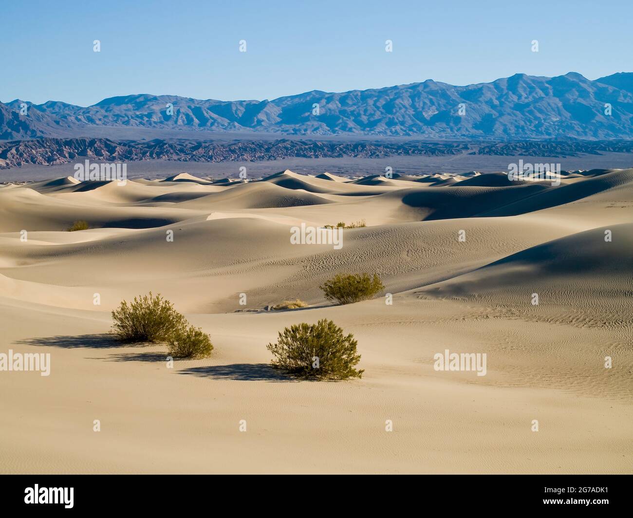 Stovepipe Wells Sand Dunes, parc national de la Vallée de la mort, Californie, États-Unis, Banque D'Images