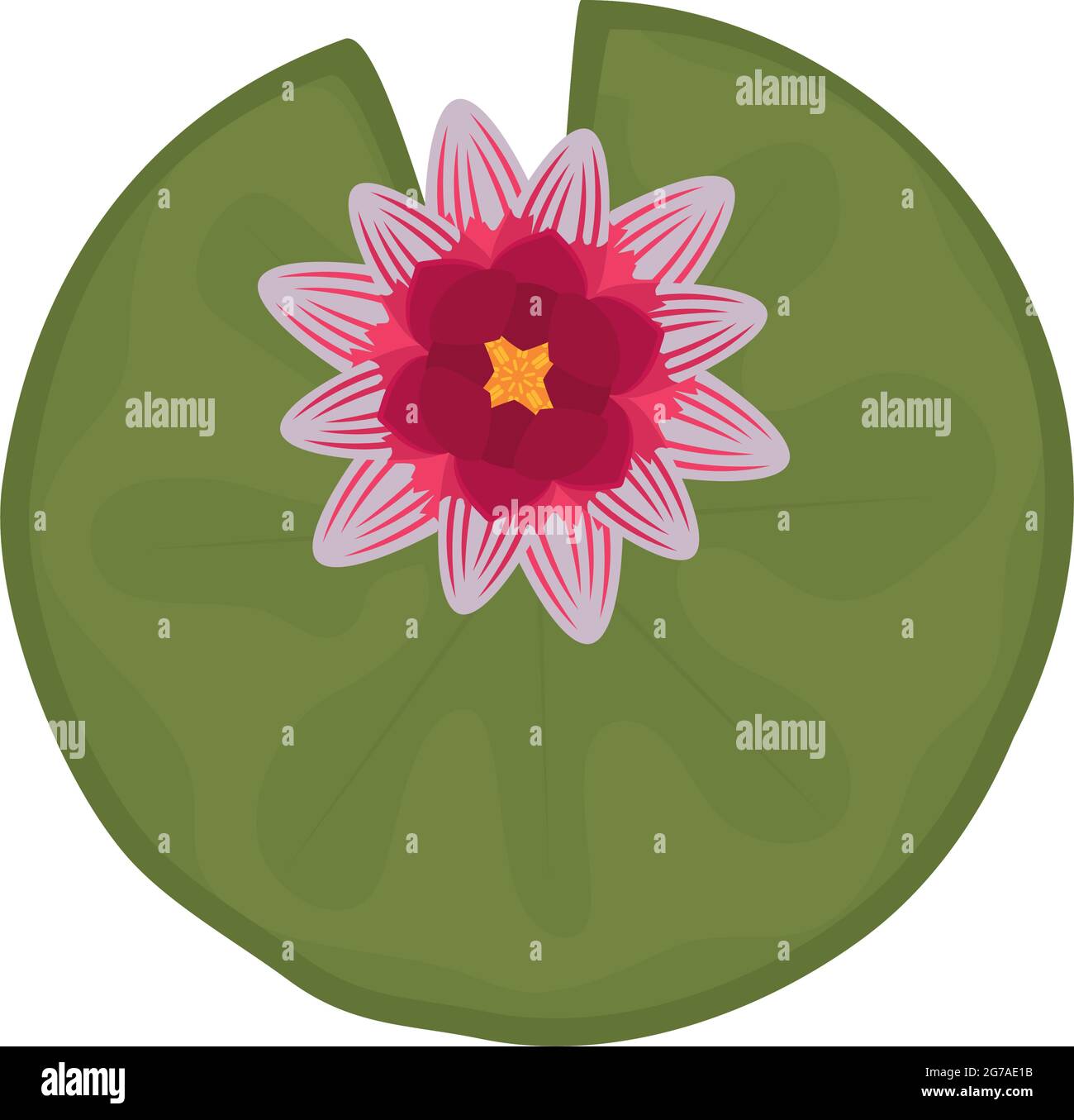 Fleur de Lotus sur feuille verte Illustration de Vecteur