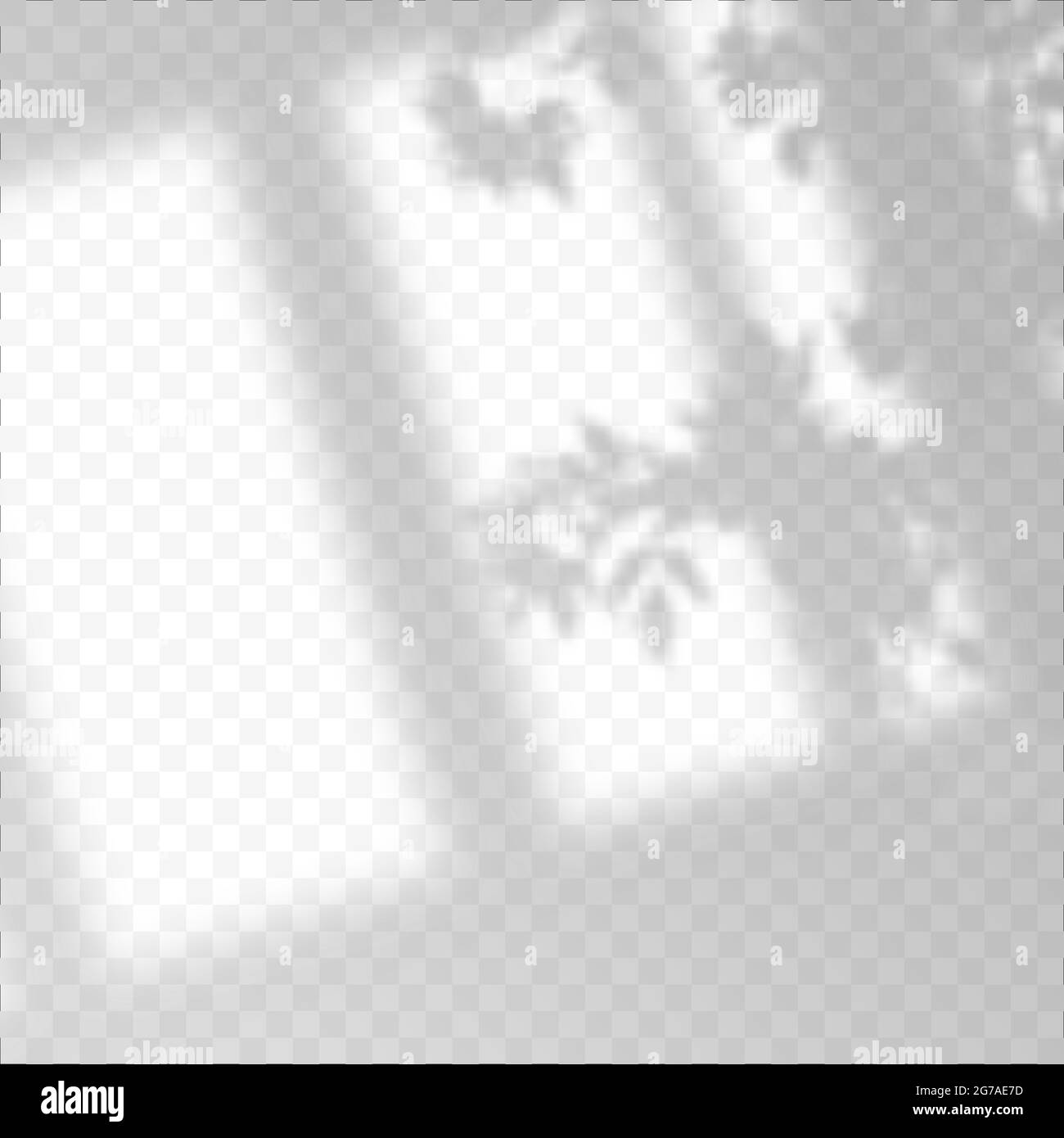 Superposition d'ombres moderne, design parfait pour toutes les applications. Ombre douce floue de la fenêtre et des branches de plantes à l'extérieur de la fenêtre Illustration de Vecteur