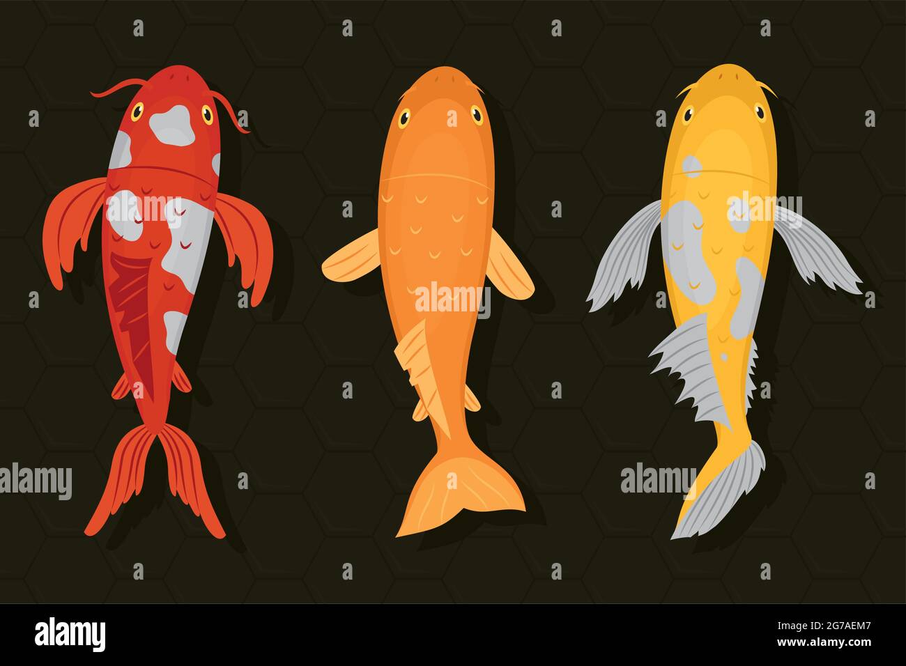 carpes koï colorées sur fond noir Illustration de Vecteur