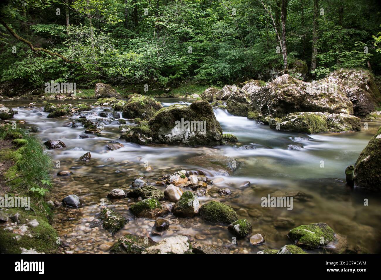 Cours d'eau d'Orbe dans le Jura vaudois Banque D'Images