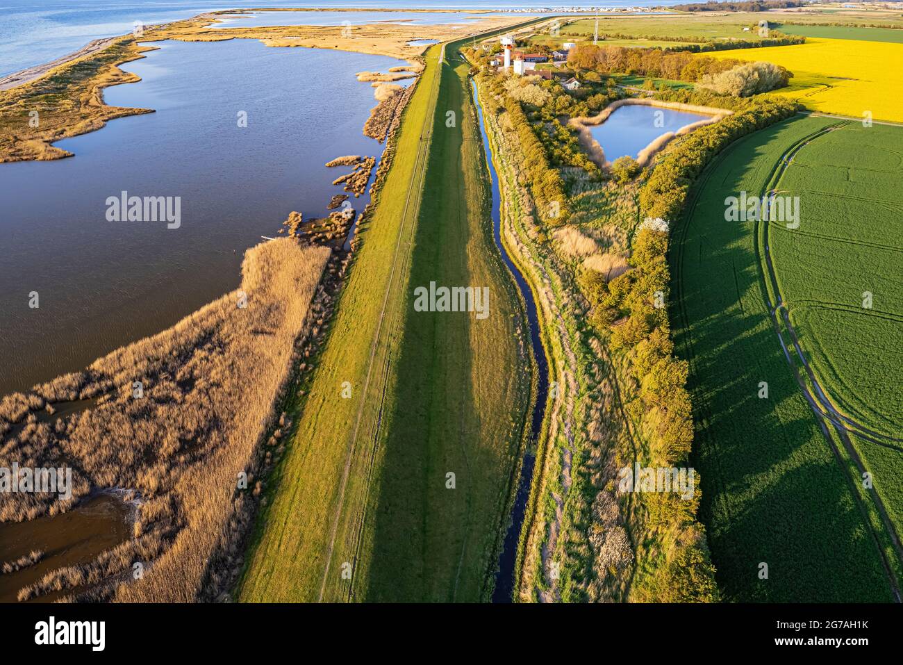 Image de drone, impression côtière, Westermarkelsdorf, île de Fehmarn Banque D'Images