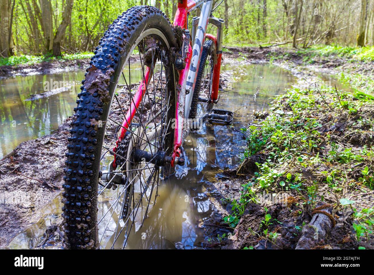 VTT sale dans la flaque de la forêt verte de mudd. Vue de la roue de vélo.saleté sur vélo. Banque D'Images