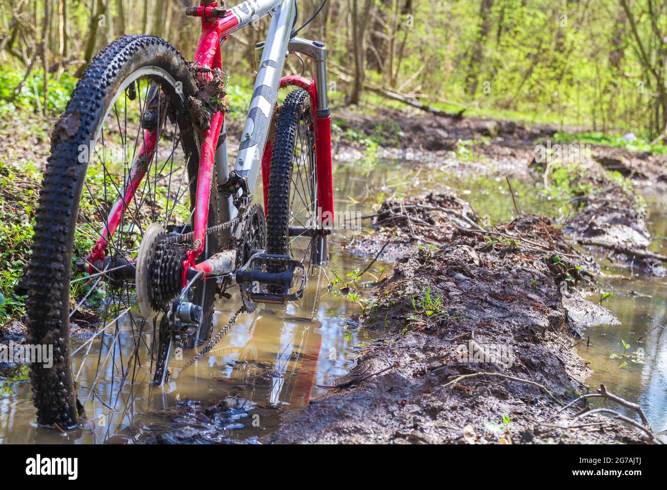 VTT sale dans la flaque de la forêt verte de mudd. Vue de la roue de vélo.saleté sur vélo. Banque D'Images
