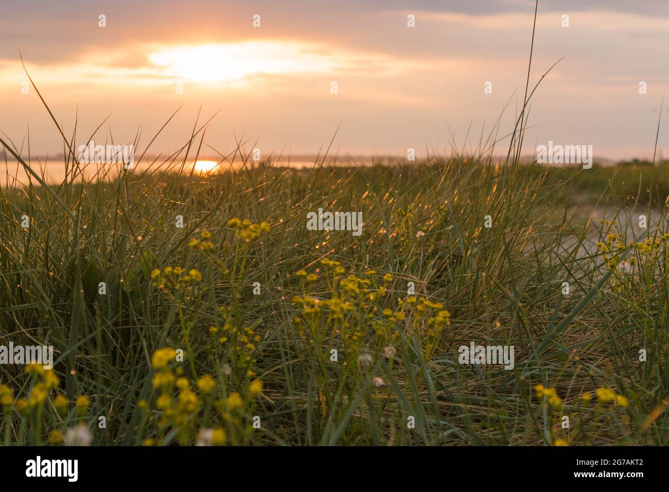 Vue vers le coucher du soleil sur le fjord de Kiel à Laboe, Allemagne. Banque D'Images