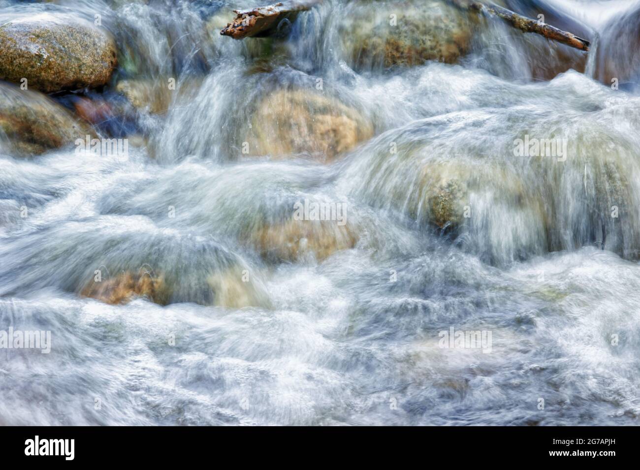 Eau courante d'un ruisseau forestier Banque D'Images